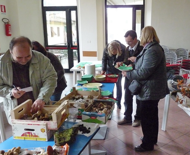 Mostra micologica con partecipazione di NM